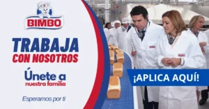 PUESTOS VACANTES RECIEN PUBLICADOS EN BIMBO