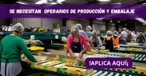 SE NECESITA 35 OPERARIOS DE PRODUCCIÓN PARA EMPACAR Y EMBALAR